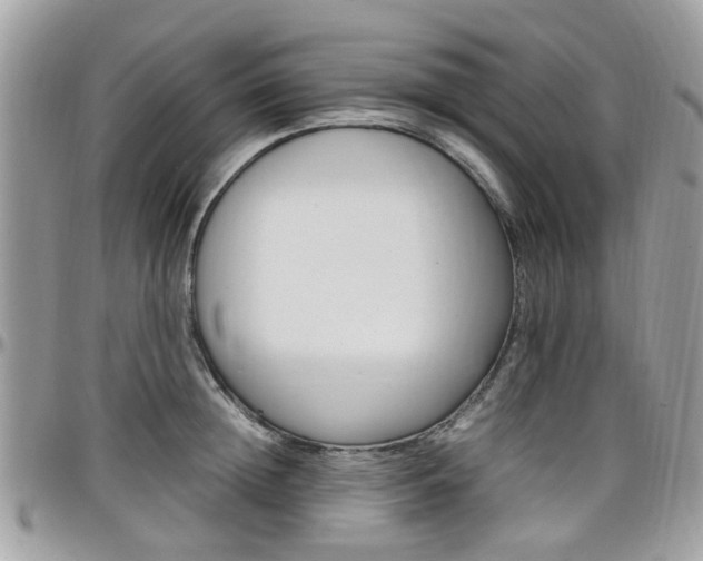 X0000097980852200803241040