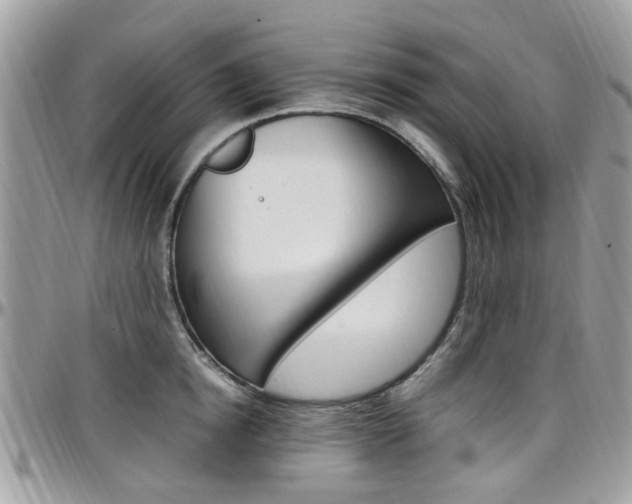X0000097980854200803241040