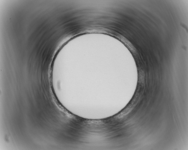X0000097980856200803241041