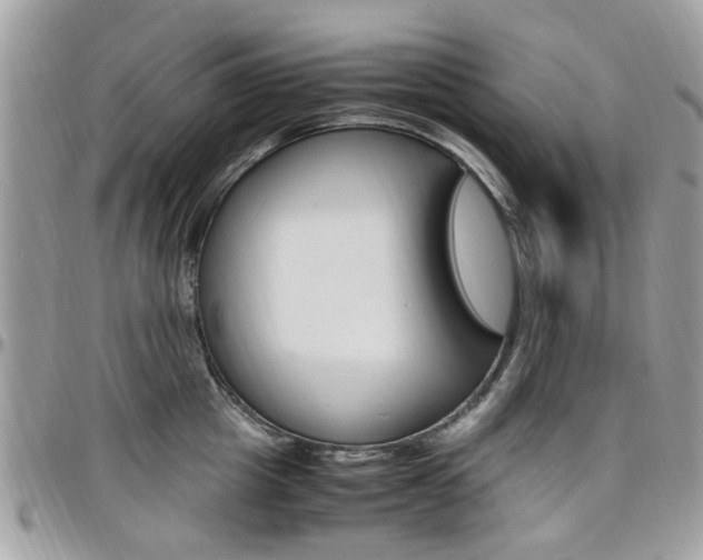 X0000097980857200803241041