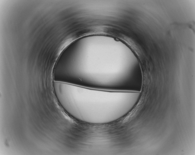 X0000097980858200803241041