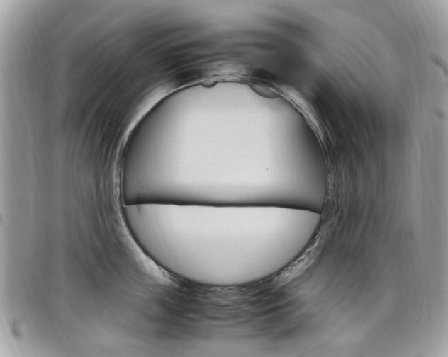 X0000097980859200803241041