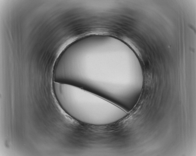 X0000097980861200803241041