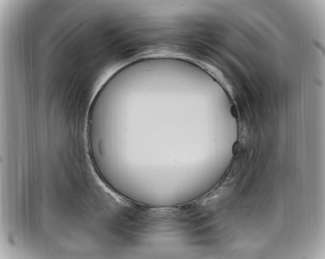 X0000097980863200803241041