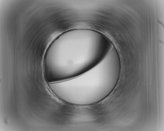 X0000097980864200803241041