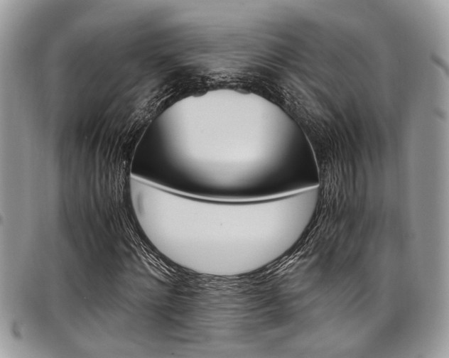 X0000097980868200803241040