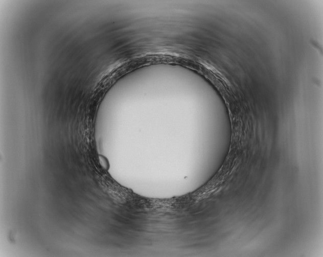 X0000097980870200803241040