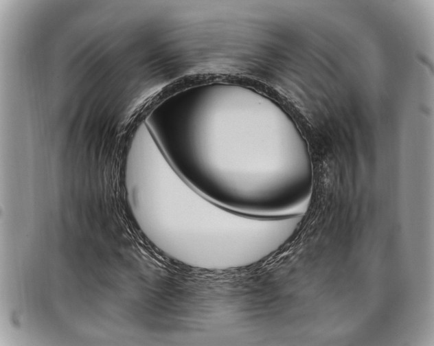 X0000097980872200803241040