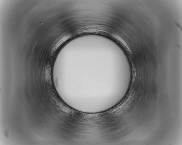 X0000097980874200803241040