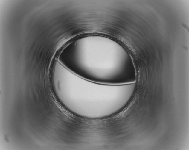 X0000097980876200803241040