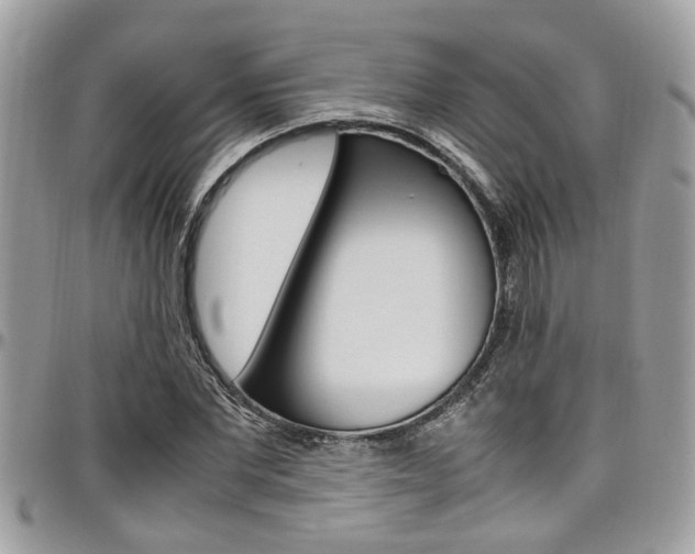 X0000097980877200803241040
