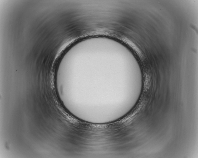 X0000097980878200803241040
