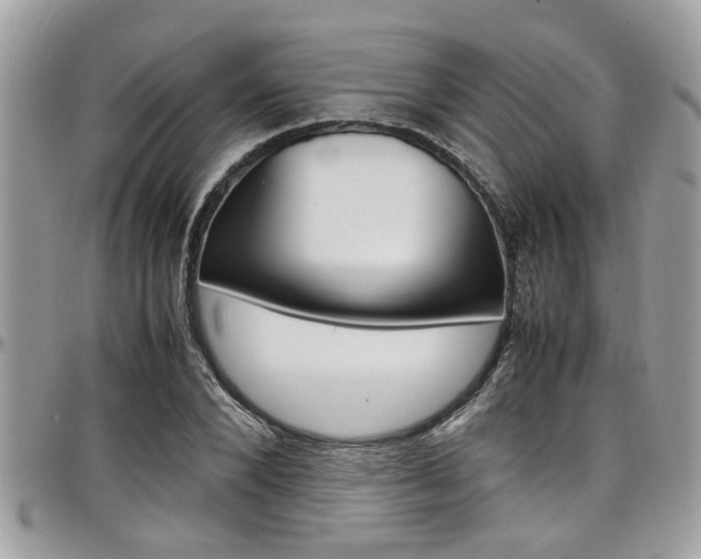 X0000097980880200803241040