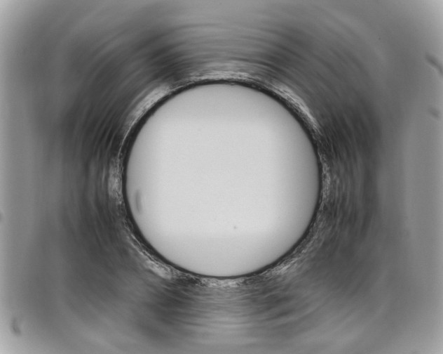 X0000097980882200803241040
