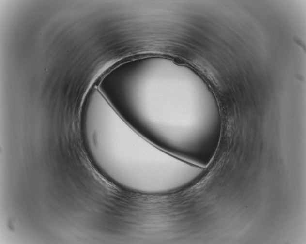 X0000097980884200803241040
