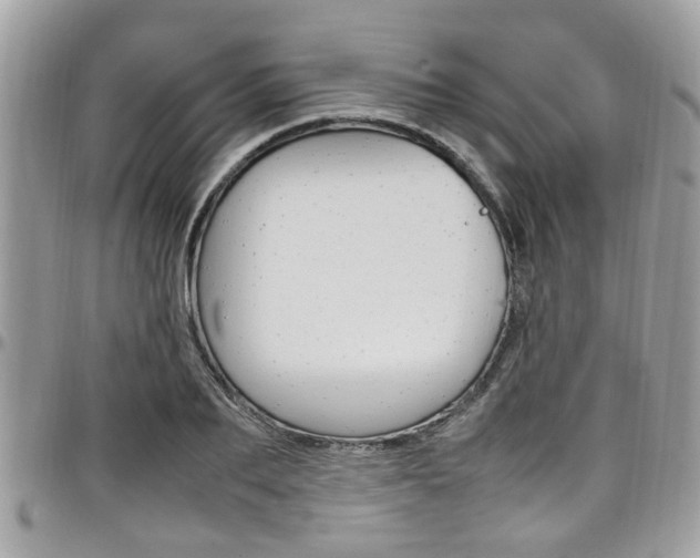 X0000097980887200803241039