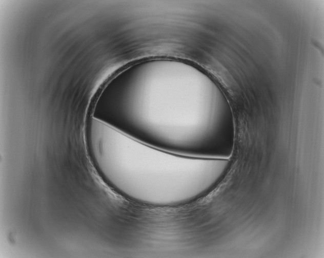 X0000097980888200803241039