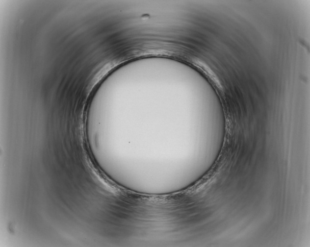 X0000097980890200803241039
