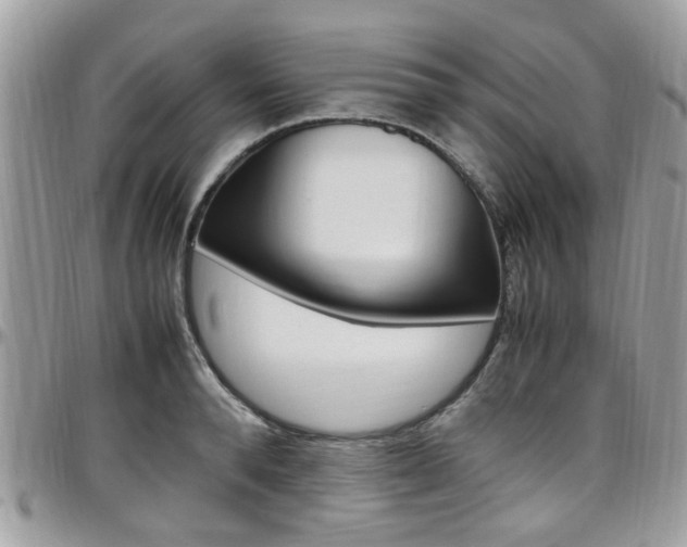 X0000097980896200803241039