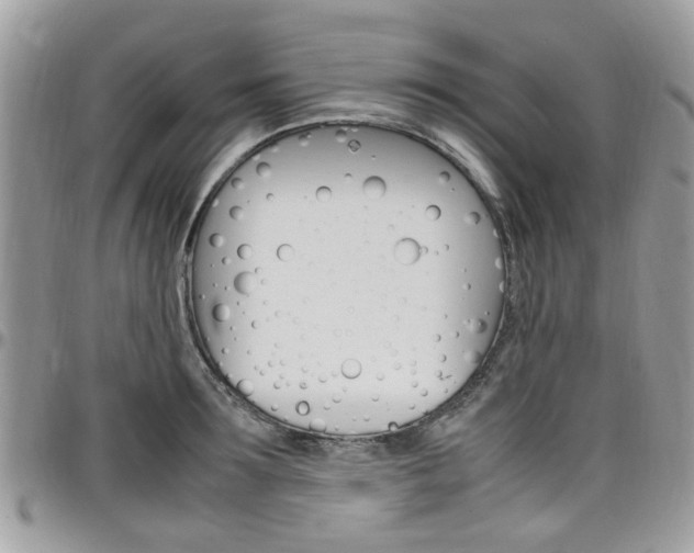 X0000097980899200803241039