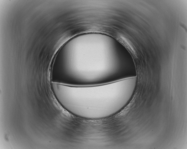 X0000097980900200803241039