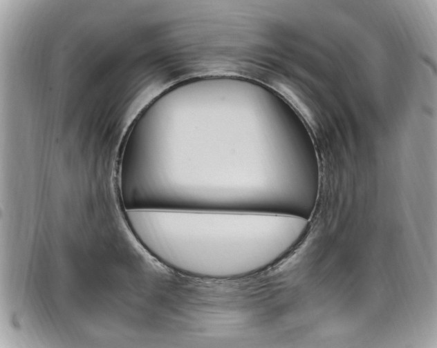 X0000097980901200803241039