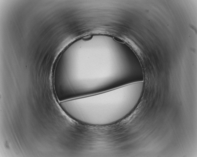 X0000097980902200803241039