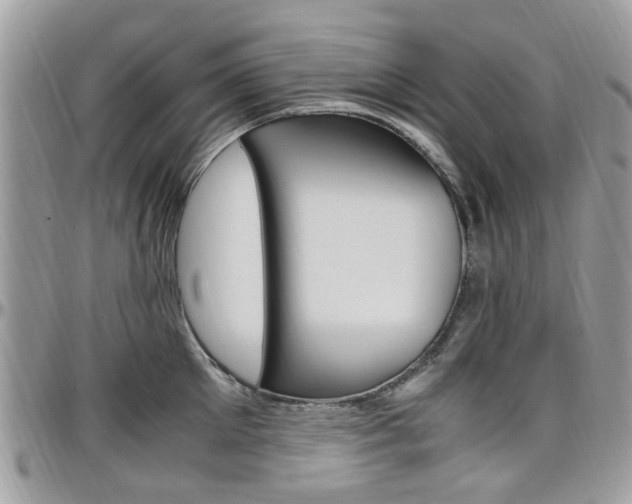 X0000097980905200803241039