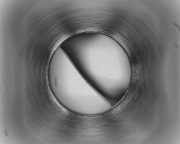 X0000097980906200803241039