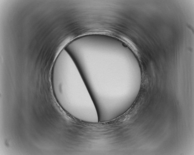 X0000097980907200803241039