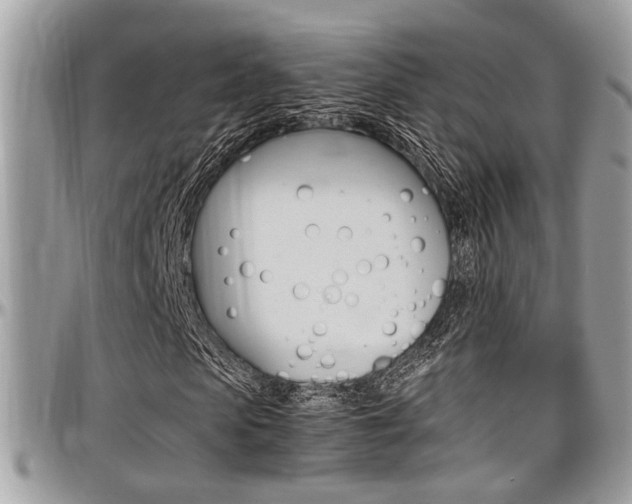 X0000097980913200803241038