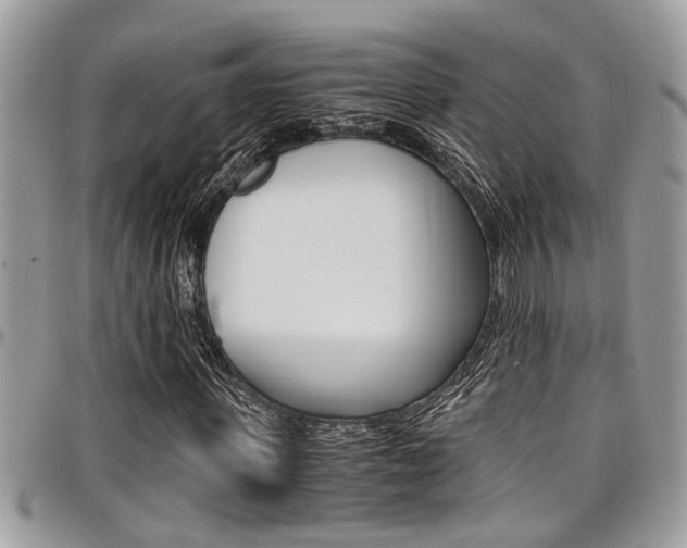X0000097980915200803241039