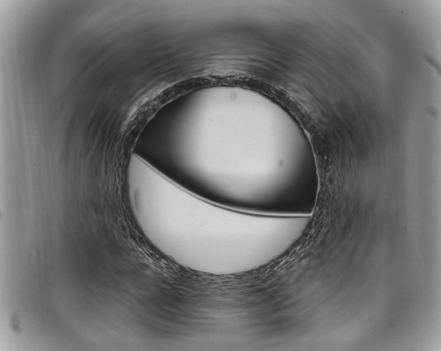 X0000097980920200803241039
