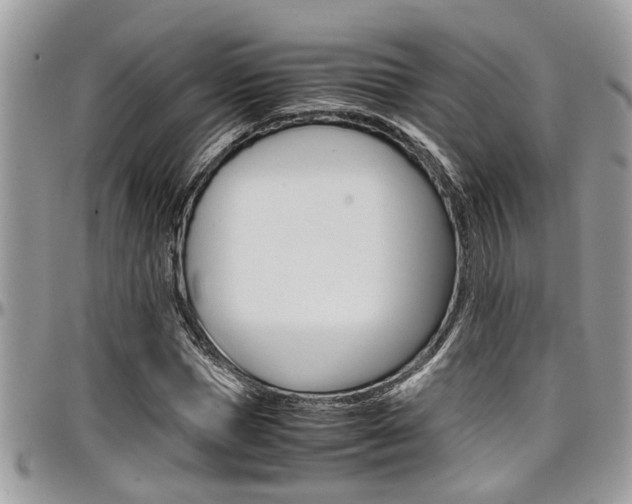 X0000097980921200803241039