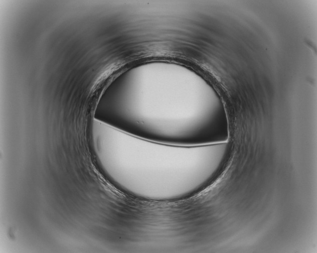 X0000097980922200803241039
