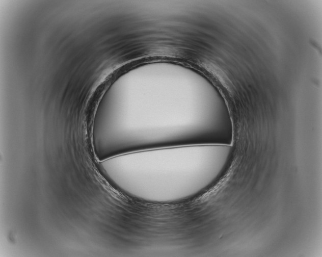 X0000097980923200803241039