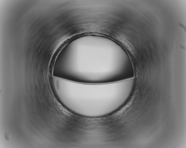 X0000097980924200803241039