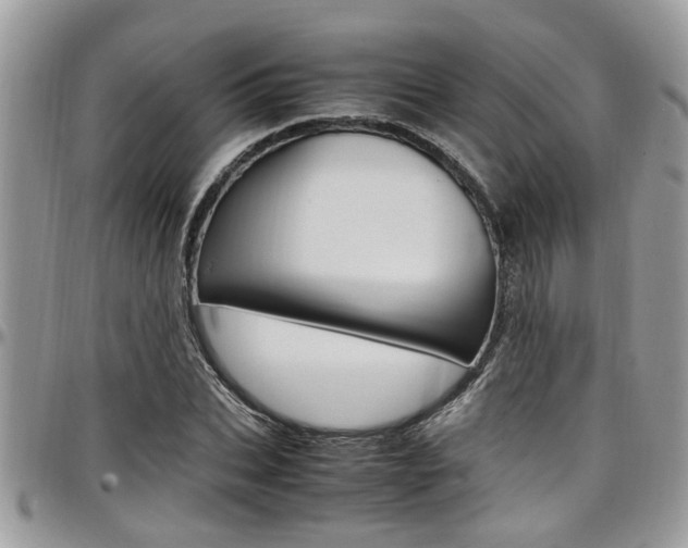 X0000097980927200803241039