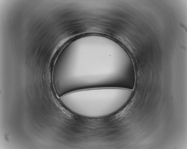 X0000097980931200803241039