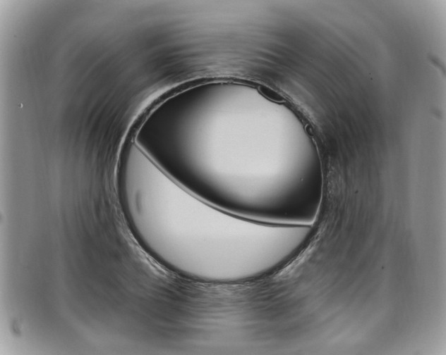 X0000097980932200803241039