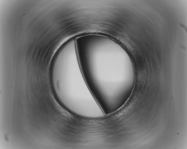 X0000097980934200803241039