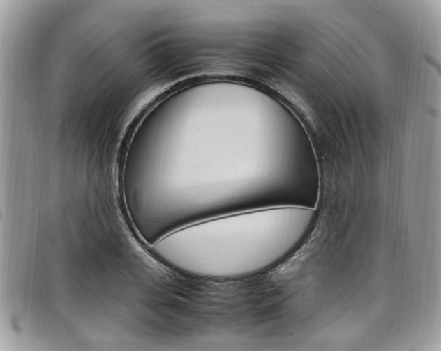 X0000097980935200803241039
