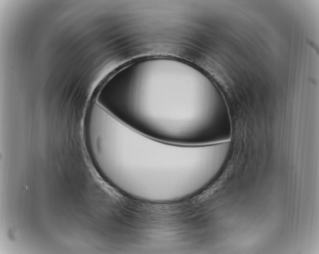 X0000097980936200803241039
