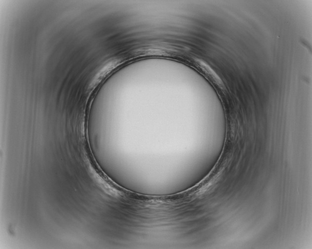 X0000097980938200803241039