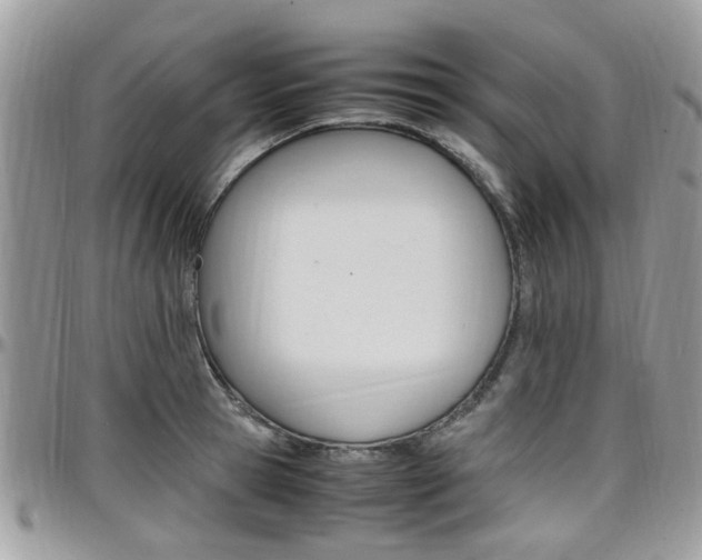 X0000097980945200803241039