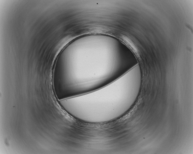 X0000097980948200803241039