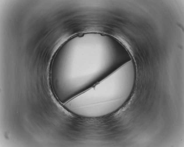 X0000097980949200803241039