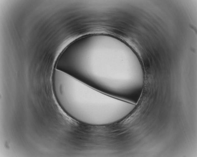 X0000097980951200803241039