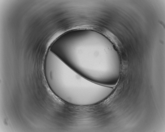 X0000097980952200803241039