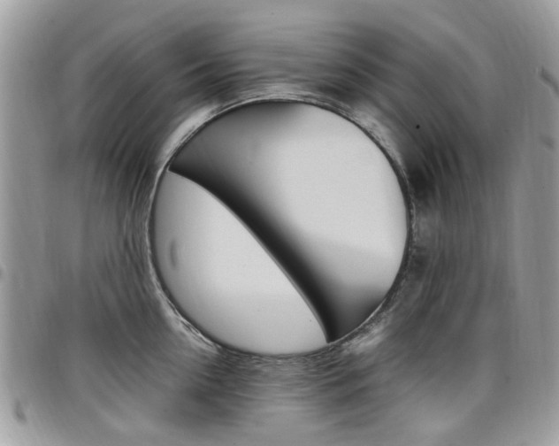X0000097980954200803241039